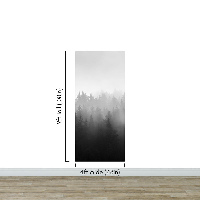 Black and White Misty Pine Forest Wallpaper.