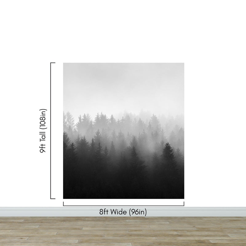 Black and White Misty Pine Forest Wallpaper.