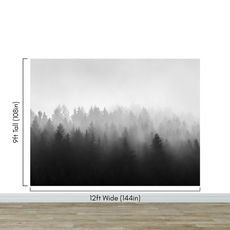 Black and White Misty Pine Forest Wallpaper.