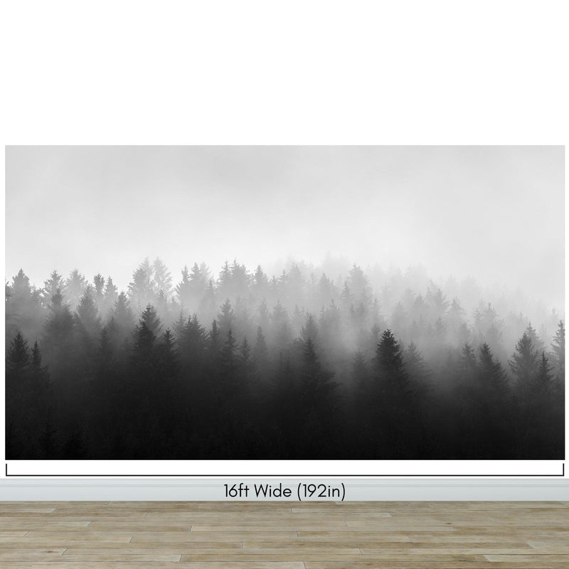 Black and White Misty Pine Forest Wallpaper.