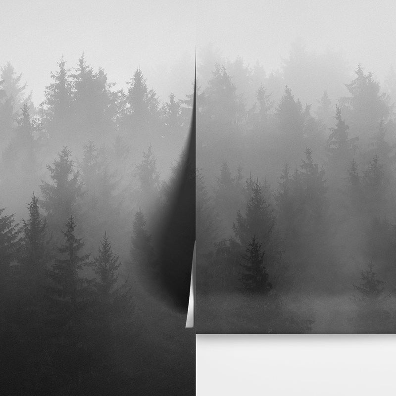 Black and White Misty Pine Forest Wallpaper.