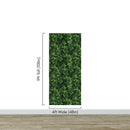 Green Leaves Pattern Wallpaper Mural. Botanical Wall Mural.