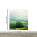 Tuscany Rolling Hills Meadow Wall Mural. Italian Countryside.
