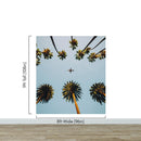 Southern California Palm Trees and Airplane Wallpaper Mural.