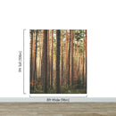 Forest Wallpaper Mural. Woodland Country Theme / Farmhouse Wall Decor.
