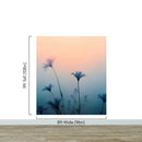 Morning Dew Misty Flower Wallpaper Mural.