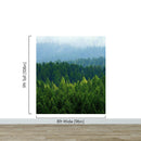 Green Forest Wallpaper Mural. Scenic Landscape Wall Mural.