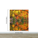 Colorful Autumn Forest Over Lake Wall Mural. Fall Foliage.
