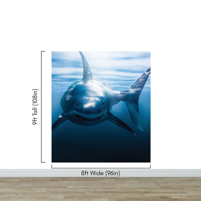 Great White Shark Wall Mural. Peel and Stick Wallpaper.