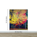 Colorful Autumn Trees Wallpaper Mural.