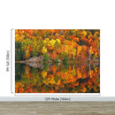 Colorful Autumn Forest Over Lake Wall Mural. Fall Foliage.