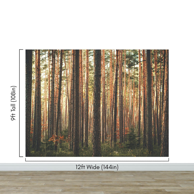 Forest Wallpaper Mural. Woodland Country Theme / Farmhouse Wall Decor.