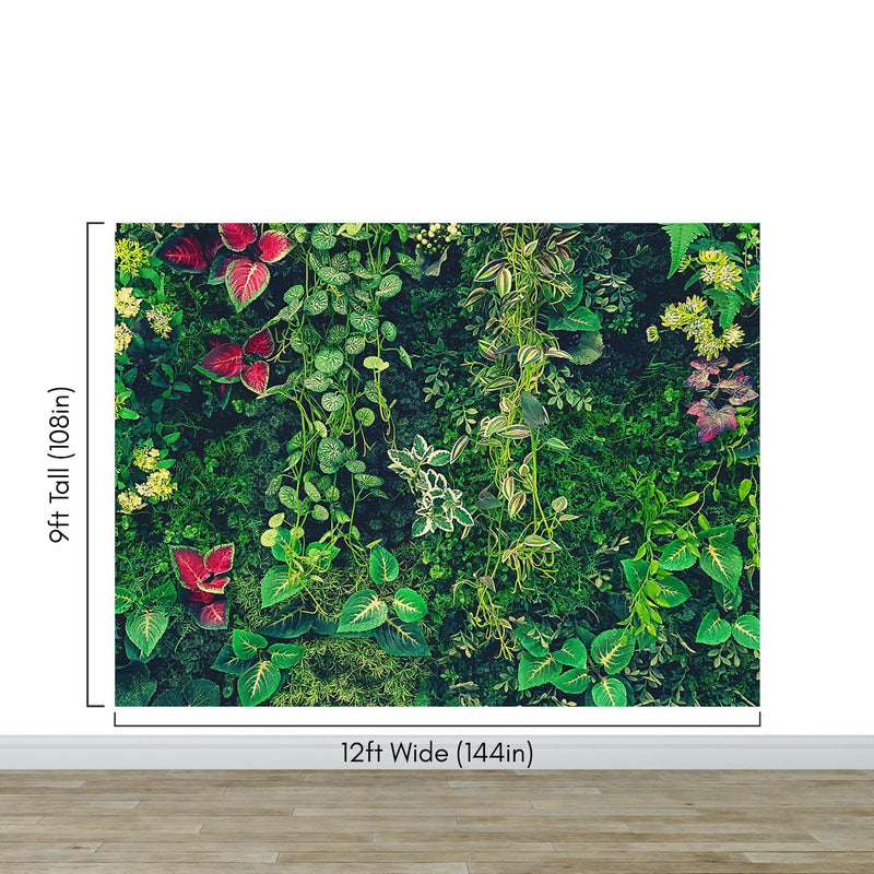 Greenery Jungle Bush Wallpaper Mural. Tropical Leaves / Fern Wallpaper.