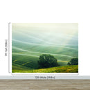 Tuscany Rolling Hills Meadow Wall Mural. Italian Countryside.