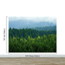 Green Forest Wallpaper Mural. Scenic Landscape Wall Mural.