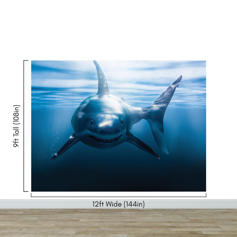 Great White Shark Wall Mural. Peel and Stick Wallpaper.