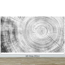 Tree Rings Wallpaper Mural. Black and White  Modern Wood Grain Circle Pattern.