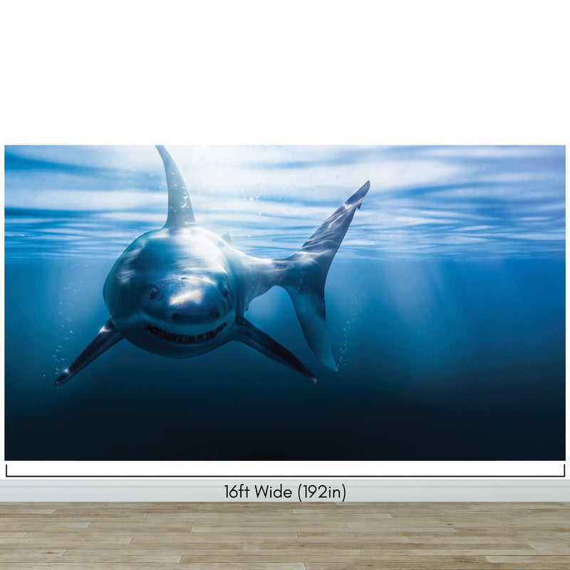 Great White Shark Wall Mural. Peel and Stick Wallpaper.