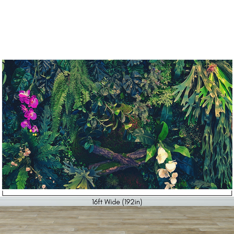 Jungle Wallpaper, Forest Greenery Botanical Wall Mural.