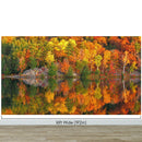 Colorful Autumn Forest Over Lake Wall Mural. Fall Foliage.