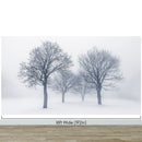Black and White Snow Covered Trees Winter Landscape Wall Mural.