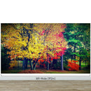 Colorful Autumn Trees Wallpaper Mural.