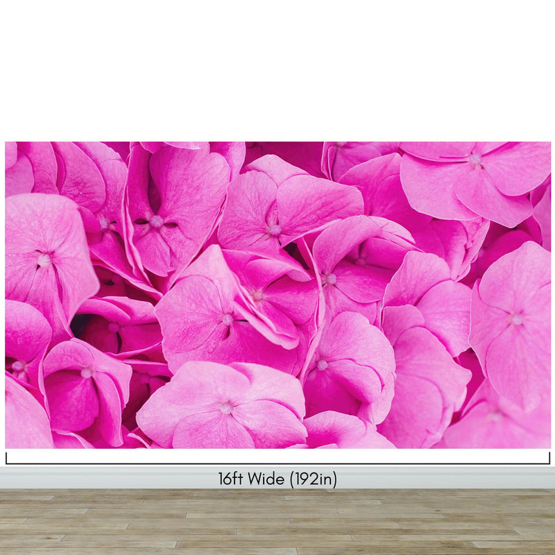 Pink Flowers Floral Wallpaper Mural.