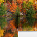 Colorful Autumn Forest Over Lake Wall Mural. Fall Foliage.