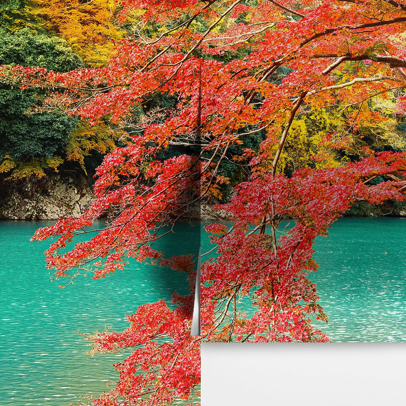 Colorful Teal Water Lake View Landscape Wallpaper Mural.