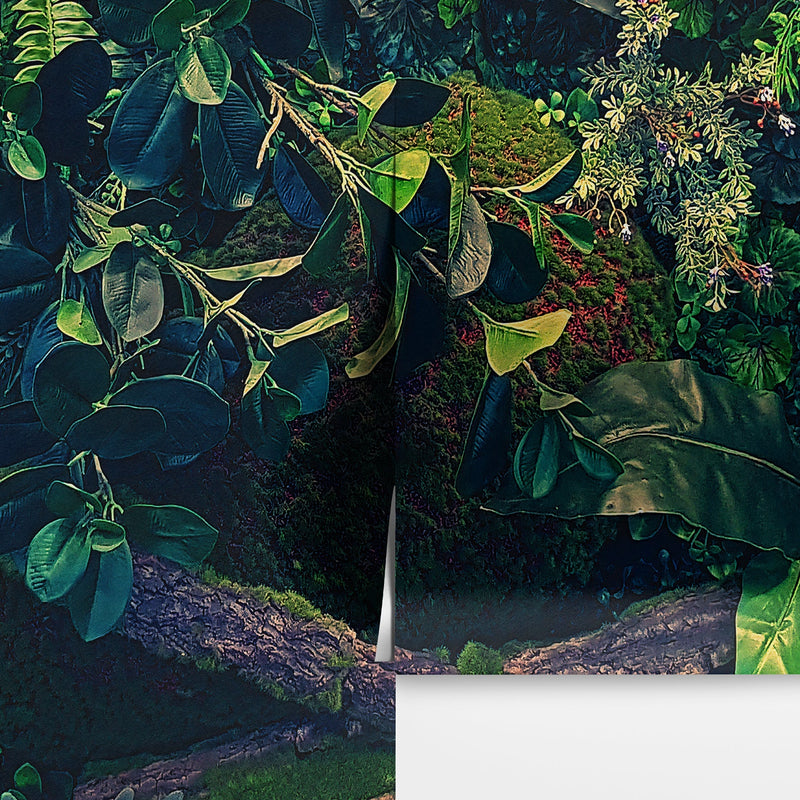 Jungle Wallpaper, Forest Greenery Botanical Wall Mural.