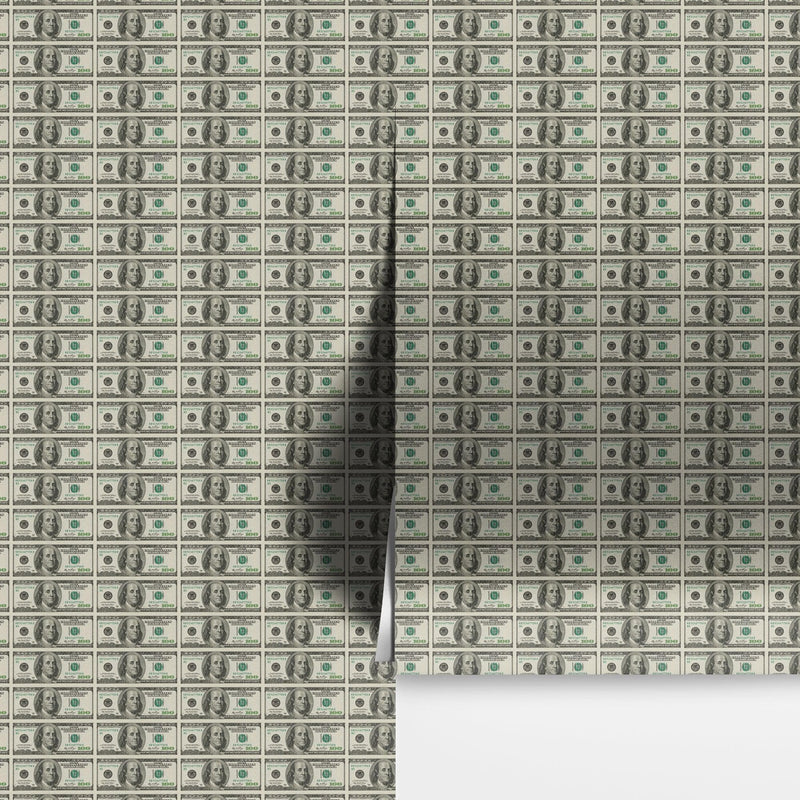 100 Dollar Bill Wallpaper Mural. Cash Money Wall Mural.