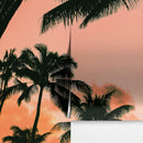 Sunset Wallpaper Mural. Palm Trees Tropical Vibe.