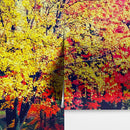 Colorful Autumn Trees Wallpaper Mural.