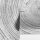 Tree Rings Wallpaper Mural. Black and White  Modern Wood Grain Circle Pattern.