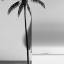 Black & White Tropical Palm Tree Beach Wallpaper Mural.
