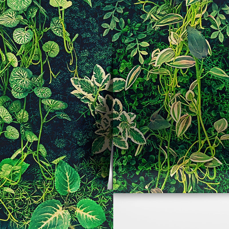 Greenery Jungle Bush Wallpaper Mural. Tropical Leaves / Fern Wallpaper.