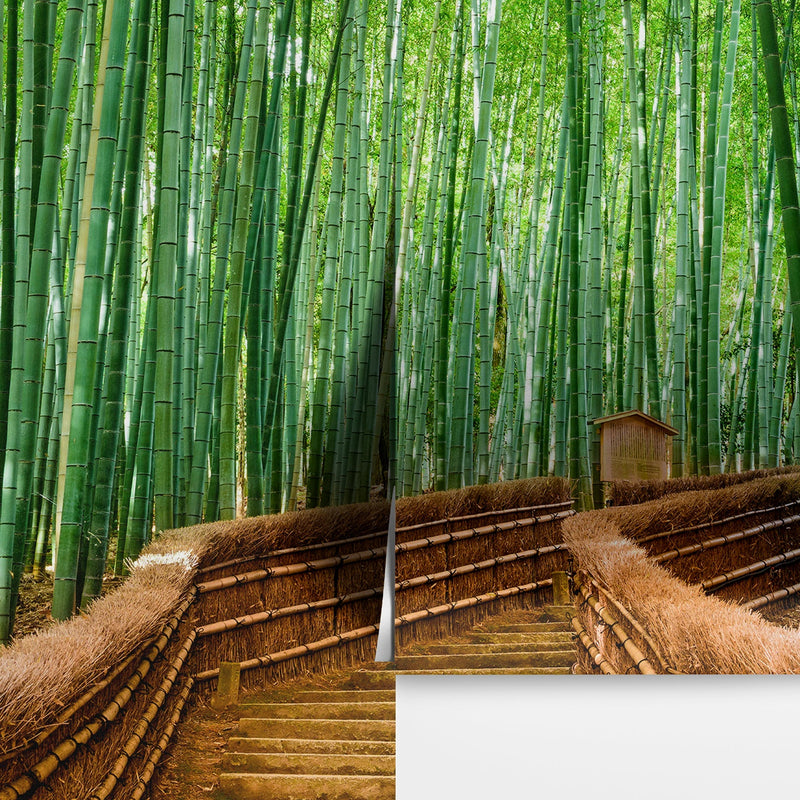 Japanese Bamboo Forest Arashiyama Woods Wall Mural