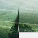 Tuscany Rolling Hills Meadow Wall Mural. Italian Countryside.