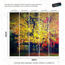 Colorful Autumn Trees Wallpaper Mural.