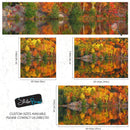 Colorful Autumn Forest Over Lake Wall Mural. Fall Foliage.