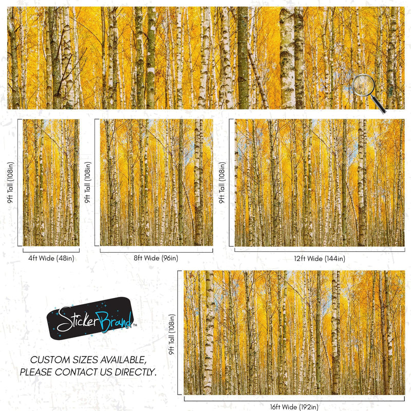 Autumn Scenic Birch Tree Forest Wall Mural | Peel and Stick Wallpaper.