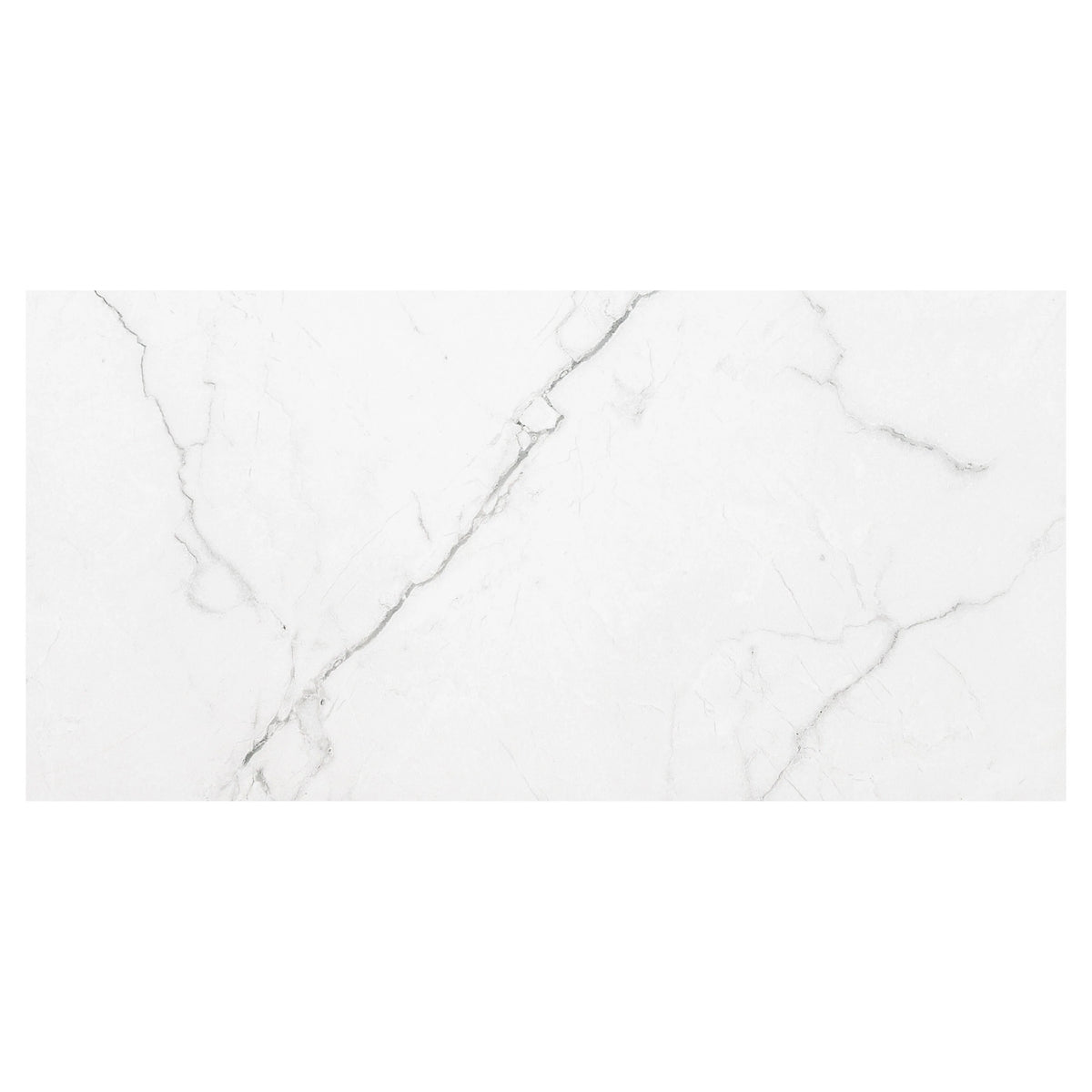 MSI Brighton Grey Porcelain Wall and Floor Tile 24"x48", photo 5 of 6