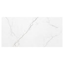 MSI Brighton Grey Porcelain Wall and Floor Tile 24"x48"