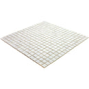 Dolphine Gray 12x12 Glossy Uniform Square Glass Mosaic Tile (20 pack, 18.69 sq ft/case)