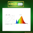 CRG31 DC12V Low Voltage In Ground RGB or WW LED Brick Paver Light Rectangle IP67 Waterproof