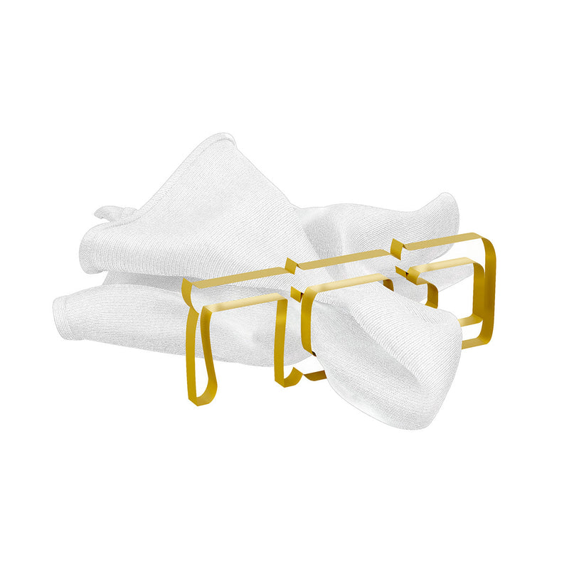 Pesach Napkin Rings