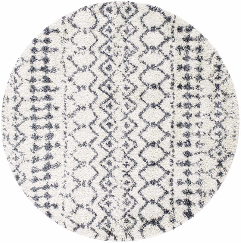 White Gray Navassa Rug - Promo