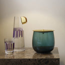 Parrot Set of 2 Water Glasses
