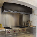 54" Range Hood Insert, Ultra Quiet Stainless Steel 8" Ducted with 1200 CFM Powerful Suction-NX-19IL-54