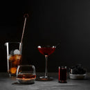 Hepburn Set of 2 Coupe Glasses by NUDE USA